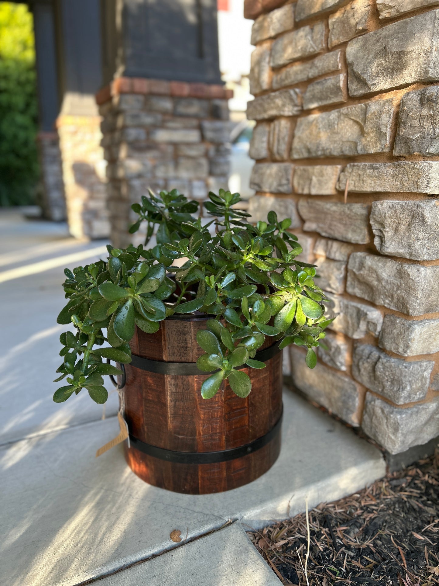 Reclaimed Wood Vintage Bucket/Planter
